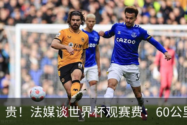 贵！法媒谈世界杯观赛费：60公里火车98美元，有人4天花4500欧元