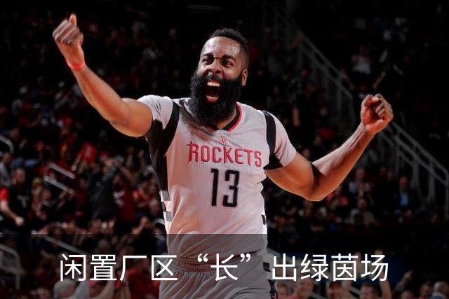 闲置厂区“长”出绿茵场
